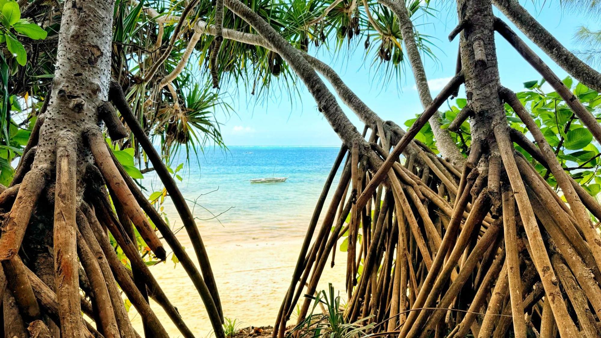 קיוונגווה Z-Lodge Zanzibar מראה חיצוני תמונה